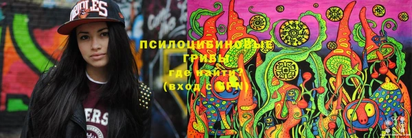 гашик Арсеньев