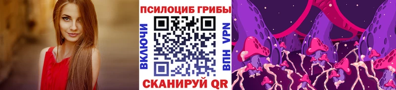 хочу   Нижний Ломов  Галлюциногенные грибы Cubensis 